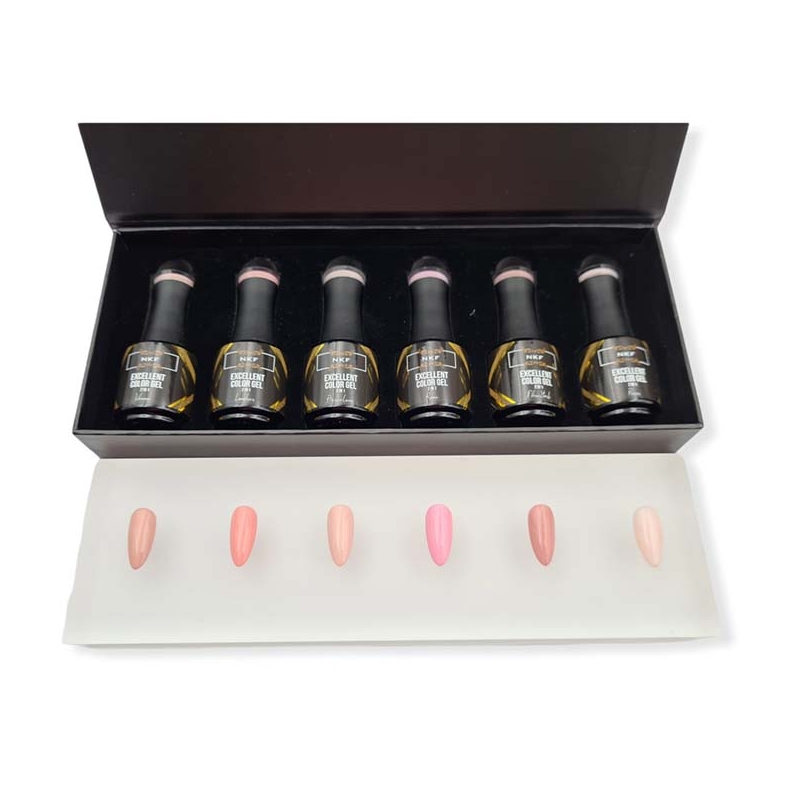COFFRET EXCELLENT COLOR GEL 6 COULEURS NKF